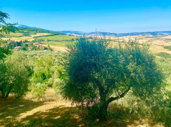Splendid View Hills Tuscany — Stock Photo, Image