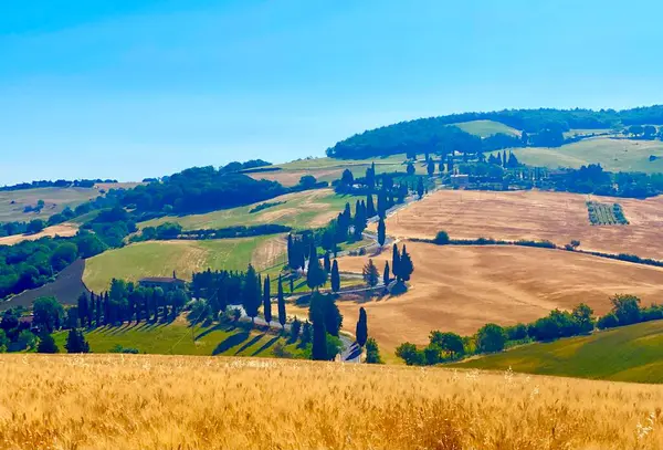 Famous Winding Roads Tuscany — Stock Photo, Image