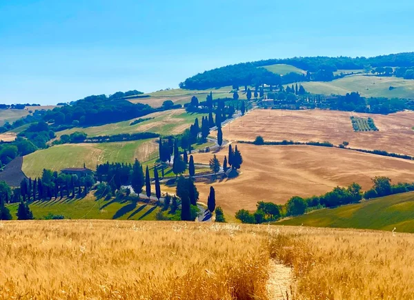 Famous Winding Roads Tuscany — Stock Photo, Image