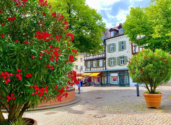 Beautiful Square Flowers Town Bensheim — Foto de Stock