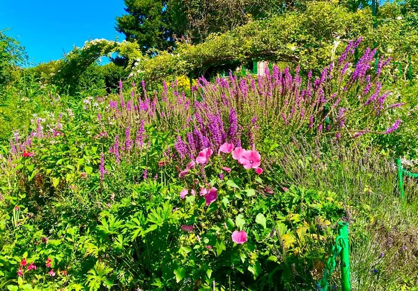 The gardens of the famous painter Claude Monet in Giverny