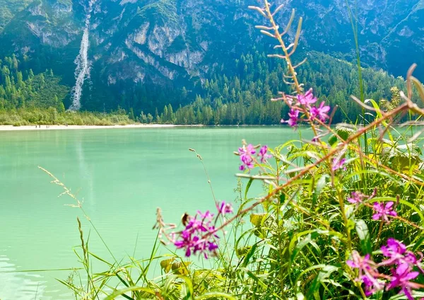 意大利阿尔卑斯山中的一个乳白色的绿湖 — 图库照片