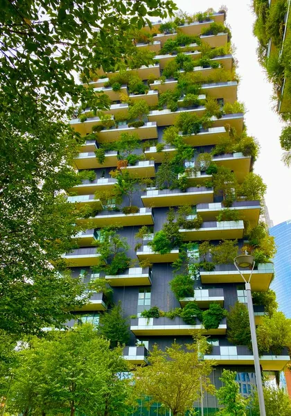 Bosco Verticale Arbre Ville Milan — Photo