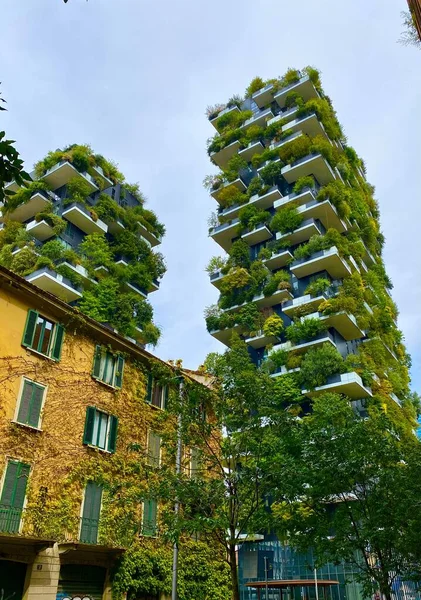 Bosco Verticale Strom Městě Miláně Royalty Free Stock Obrázky