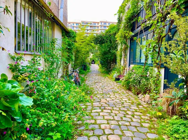パリのCite Durmarの美しい緑の隠された通り — ストック写真