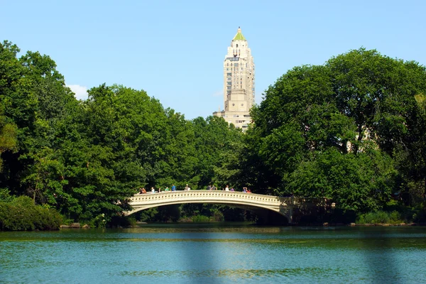 Pont à Central Park — Photo