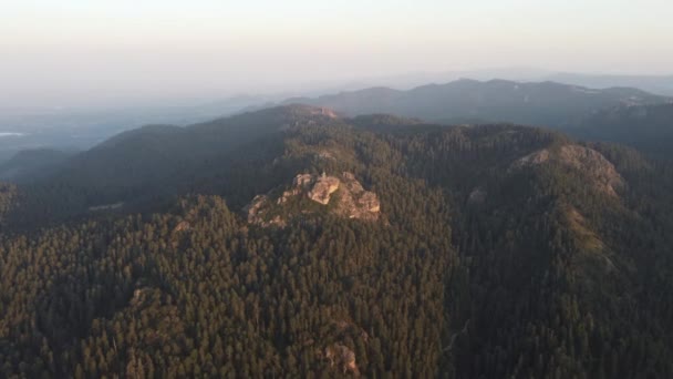 Une Forêt Vue Coucher Soleil Depuis Drone — Video