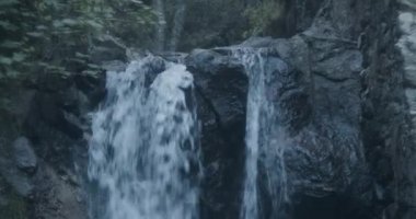 Ormanın ortasında şelale