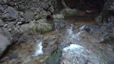 Orman nehrinin üzerinde uçarken