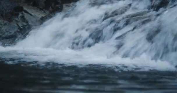 Río Rápido Medio Del Bosque — Vídeos de Stock