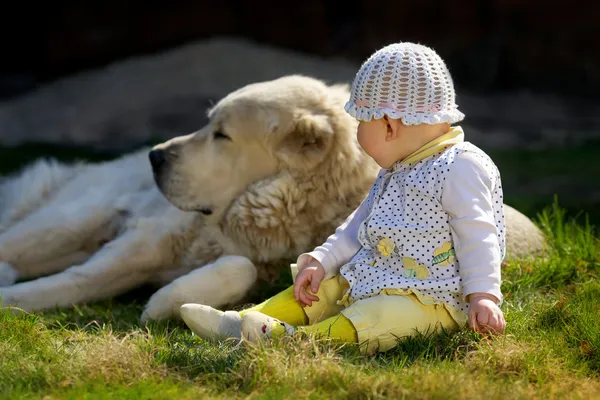 küçük bebek ve büyük köpek