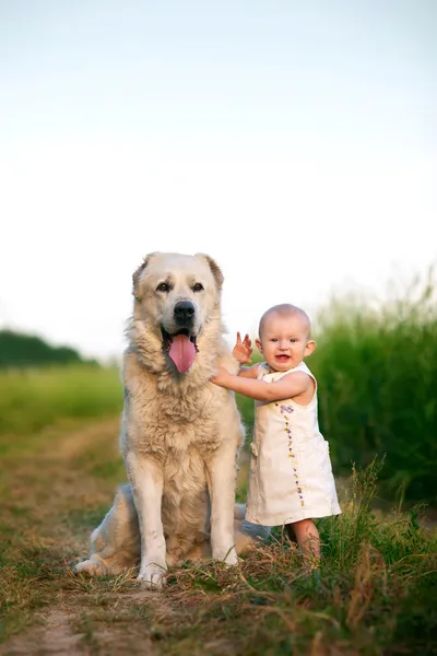 小さな女の子と犬 — ストック写真