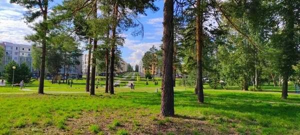 Het Park Het Bos — Stockfoto