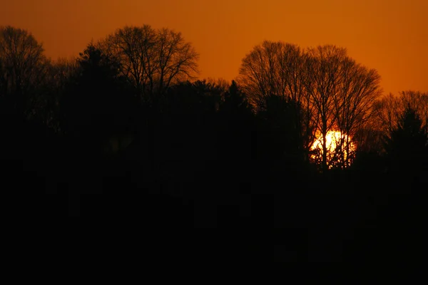 Sunrise — Stock Photo, Image