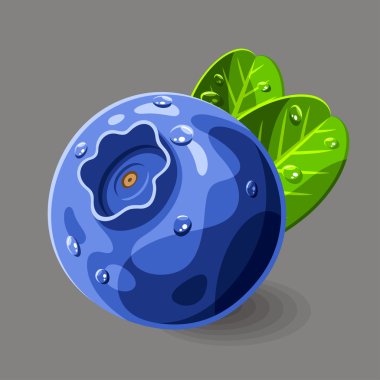 yaban mersini ve yaprakları