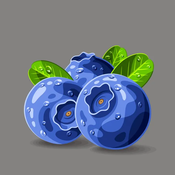 Blåbär och bladen med vattendroppar — Stock vektor