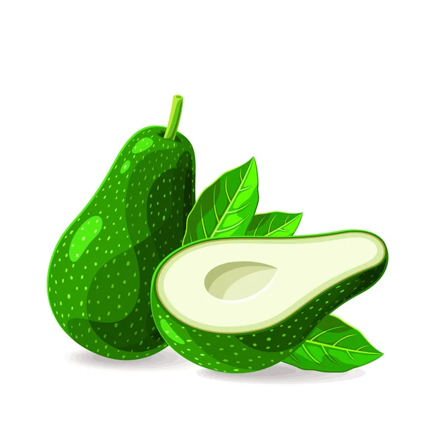 Avocado fresco con gocce d'acqua — Vettoriale Stock