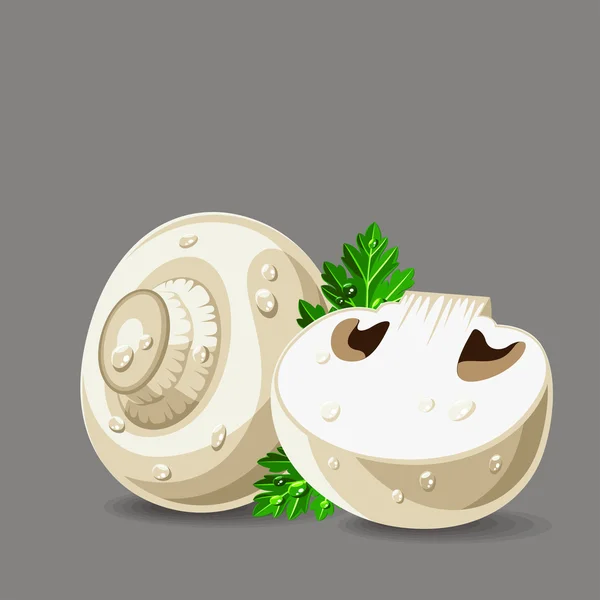 Champignons blancs frais au persil et gouttes d'eau — Image vectorielle