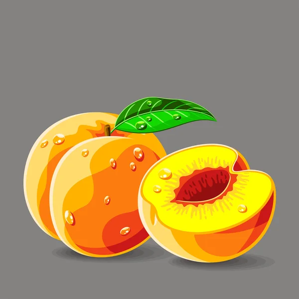 Abricots frais avec gouttes d'eau — Image vectorielle