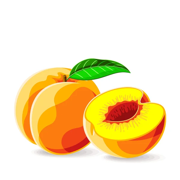 新鲜的杏子水滴 — 图库矢量图片