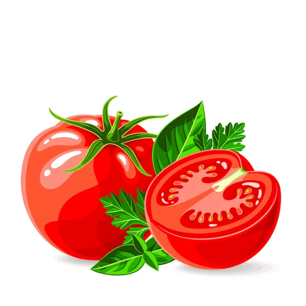 Tomates frescos con perejil y albahaca — Vector de stock