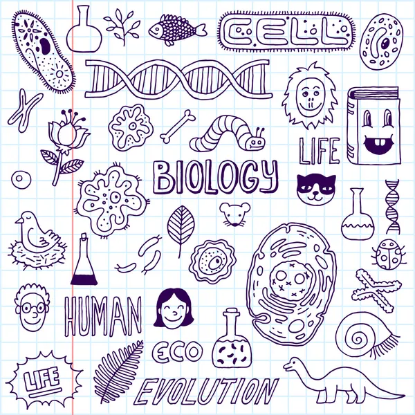 Biology doodles — Stock Vector © Sashatigar #51488045