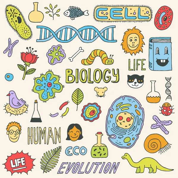 Biologi doodles — Stock vektor