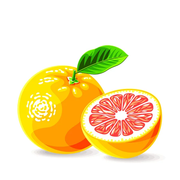 Fresh grapefruit's — Stock Vector