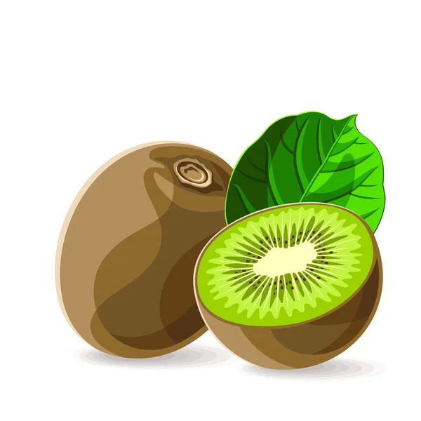 Čerstvý kiwi — Stockový vektor