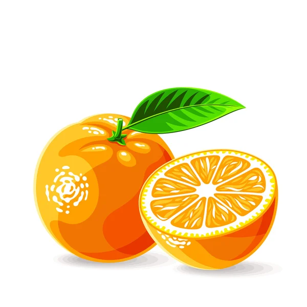 Fresh oranges — Stock Vector