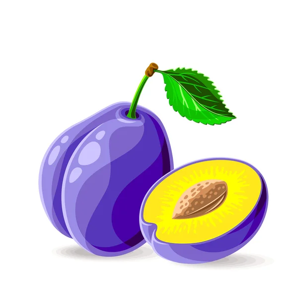 Fresh plums — Stock Vector