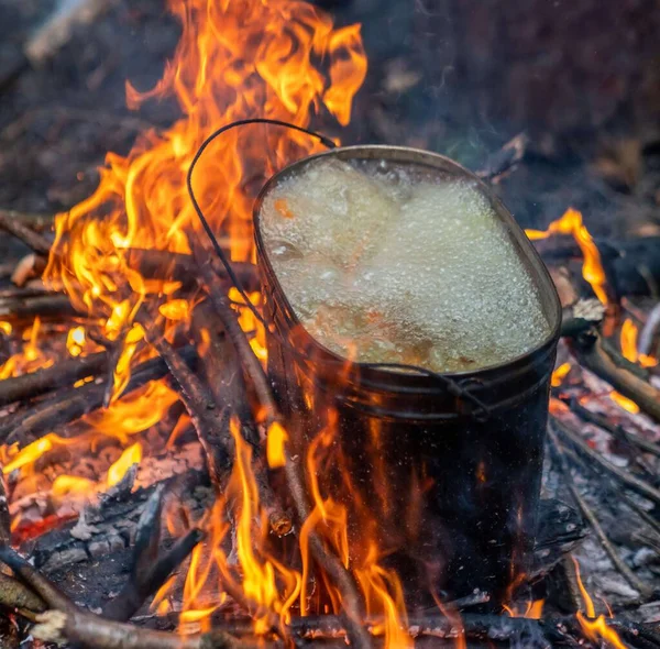 Cuisiner Nourriture Sur Feu Camp Dans Les Bois Dans Nature — Photo