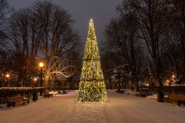 Parlak Noel süslemeleri içinde Noel ağacı dışarıda karda.