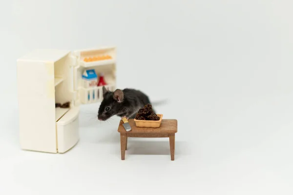Маленькая мышь ест пищу из фарфоровой тарелки — стоковое фото