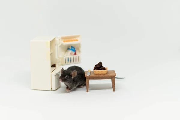 Um ratinho olha para ver se há comida no frigorífico. Mobiliário de bonecas — Fotografia de Stock