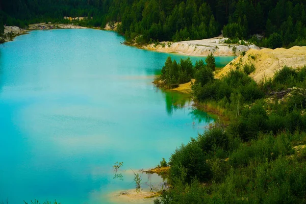 Lago azul no fundo de árvores verdes — Fotografia de Stock