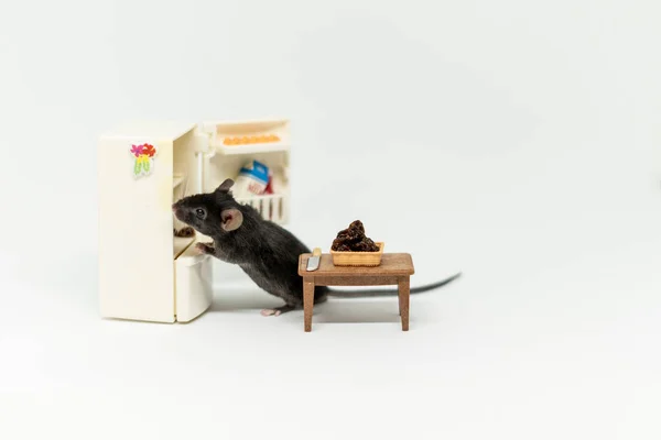 Küçük bir fare buzdolabında yiyecek var mı diye bakar. Oyuncak bebek mobilyası — Stok fotoğraf