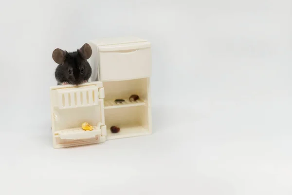 W pobliżu lodówki stoi mała szara myszka. Meble dla lalek — Zdjęcie stockowe