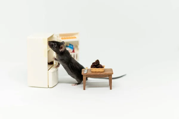 Um ratinho olha para ver se há comida no frigorífico. Mobiliário de bonecas — Fotografia de Stock