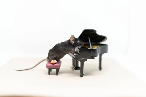 Szara mysz obok fortepianu. Meble dla lalek — Zdjęcie stockowe