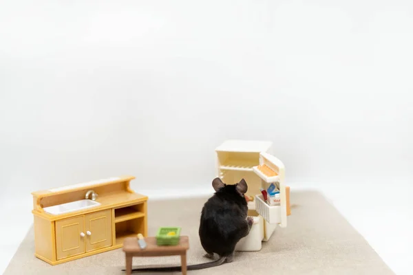 Küçük gri bir fare boş bir buzdolabına tırmanır. Oyuncak bebek mobilyası — Stok fotoğraf