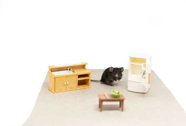 Een kleine grijze muis zit naast de koelkast. Poppenmeubels Stockfoto