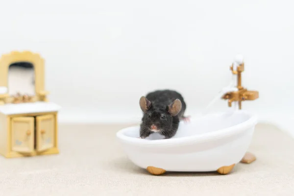 Un ratoncito gris está sentado en una bañera blanca. Muebles de muñecas. —  Fotos de Stock