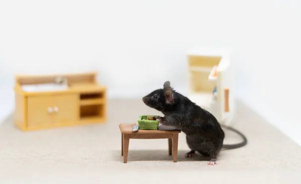 Un ratón gris en la mesa de la cocina, sobre el fondo de un refrigerador abierto. Muebles de muñecas, juguetes — Foto de Stock