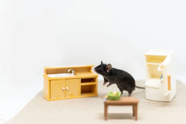 Um pequeno rato cinzento na cozinha perto da pia, a lavar pratos. Mobiliário de bonecas — Fotografia de Stock
