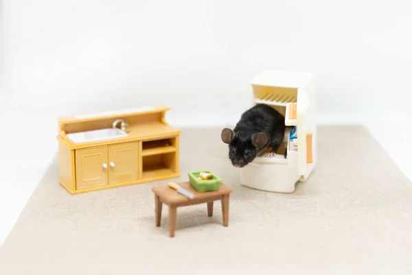 Um pequeno rato cinzento sobe para um frigorífico vazio. Mobiliário de bonecas — Fotografia de Stock