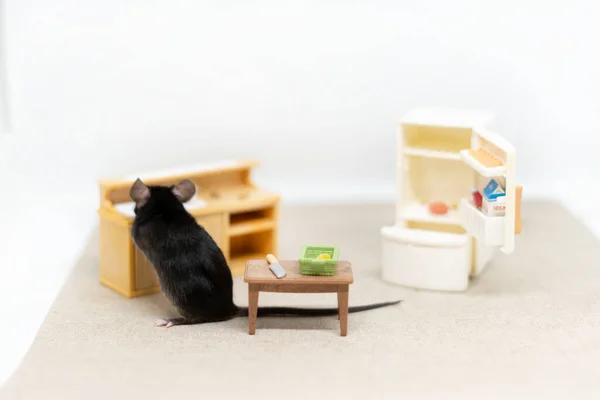 Mutfakta lavabonun yanında küçük gri bir fare, bulaşıkları yıkıyor. Bebek mobilyaları, oyuncaklar — Stok fotoğraf