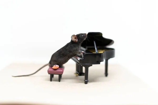 Obok fortepianu stoi szara mysz. Meble dla lalek. Przestrzeń kopiowania — Zdjęcie stockowe