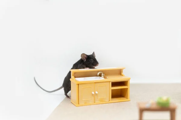 Gri bir fare lavabonun yanında duruyor ve masaya bakıyor. Oyuncak bebek mobilyası.