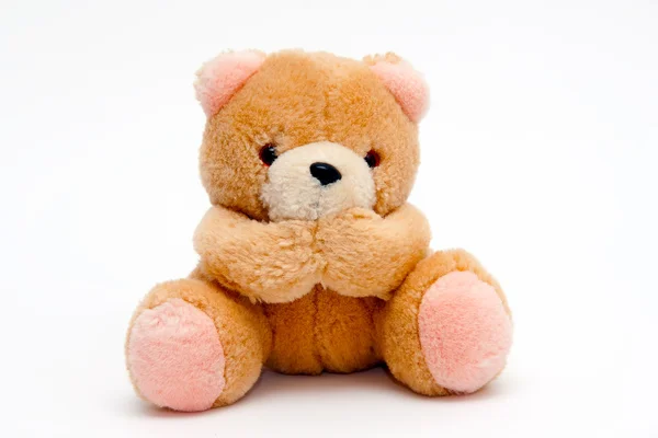 Teddybär — Stockfoto